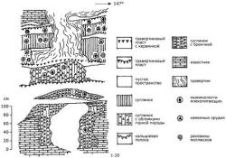 Рис. 3. Стратиграфия разреза восточной стены пещеры Байляньдун